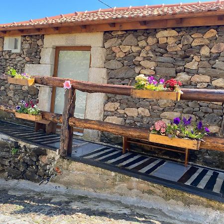 Casa Das Flores Lamego Kültér fotó